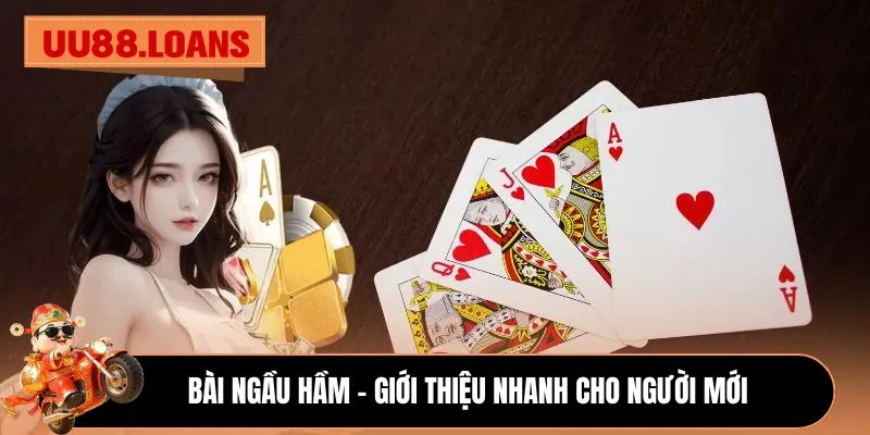 Bài Ngầu Hầm - Giới thiệu nhanh cho người mới