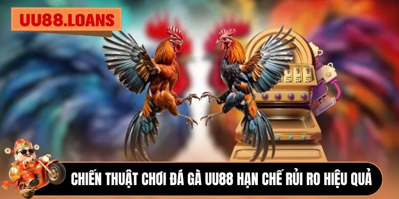 Chiến thuật chơi đá gà uu88 hạn chế rủi ro hiệu quả