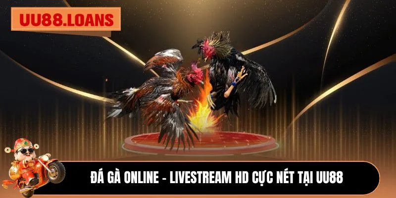 Đá gà online - Livestream HD cực nét tại UU88