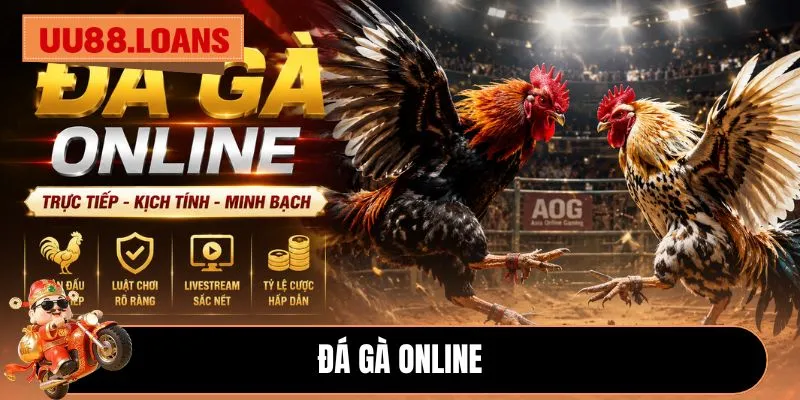 Đá gà online