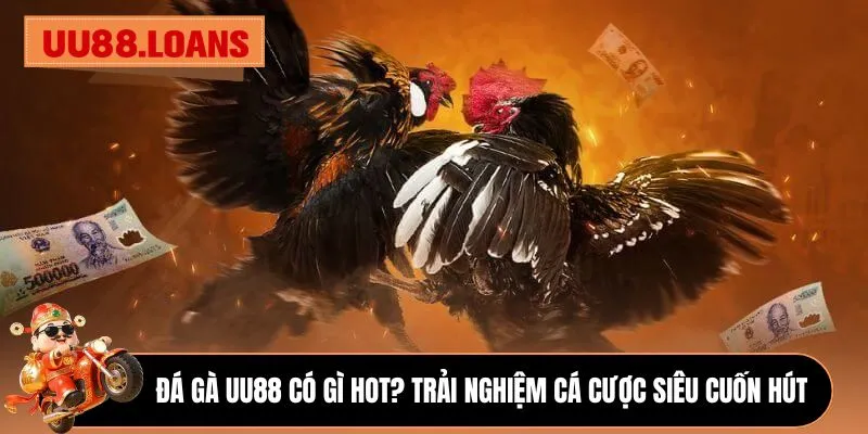 Đá gà UU88 có gì hot? Trải nghiệm cá cược siêu cuốn hút