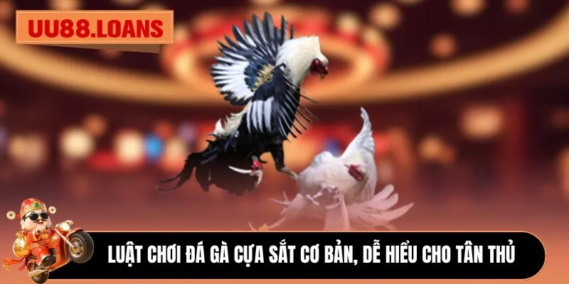 Luật chơi đá gà cựa sắt cơ bản, dễ hiểu cho tân thủ