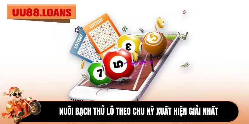 Nuôi bạch thủ lô theo chu kỳ xuất hiện giải nhất