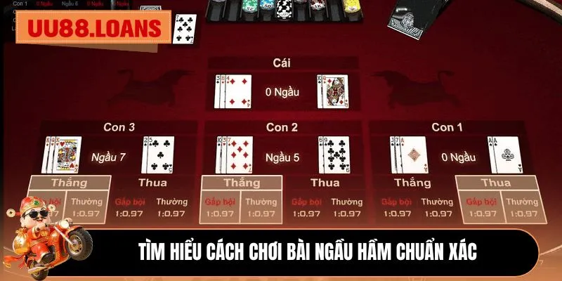 Tìm hiểu cách chơi bài Ngầu Hầm chuẩn xác