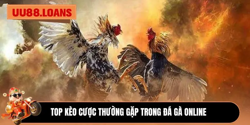 Top kèo cược thường gặp trong đá gà online